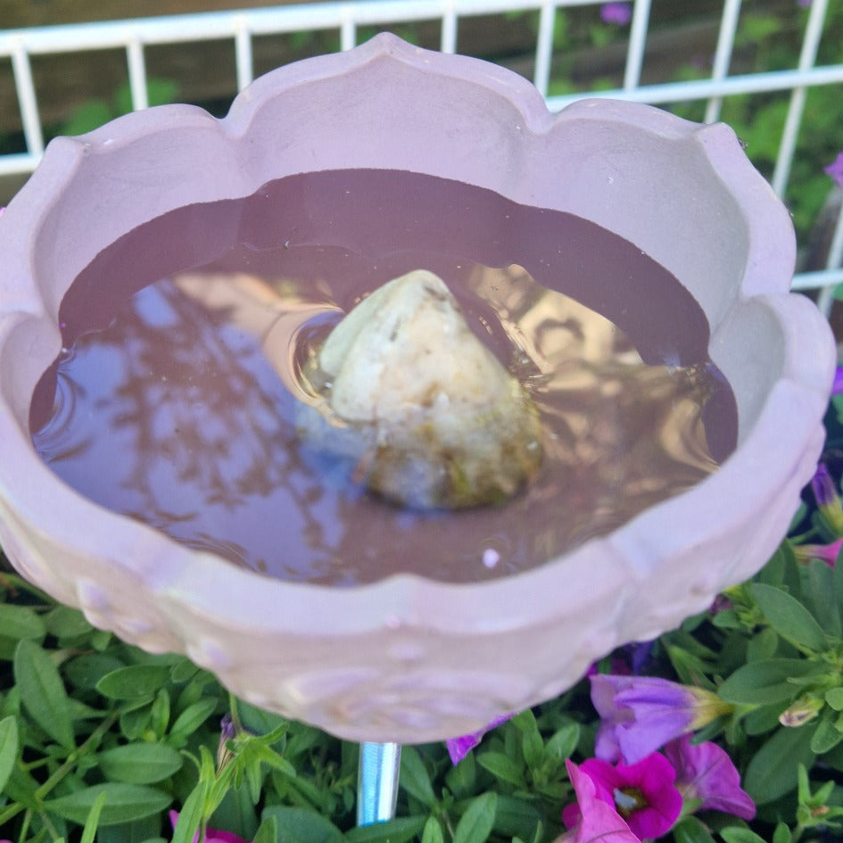 Insektentränke Blütenzauber handgemacht Gipskeramik – Outdoor Garten Bienen